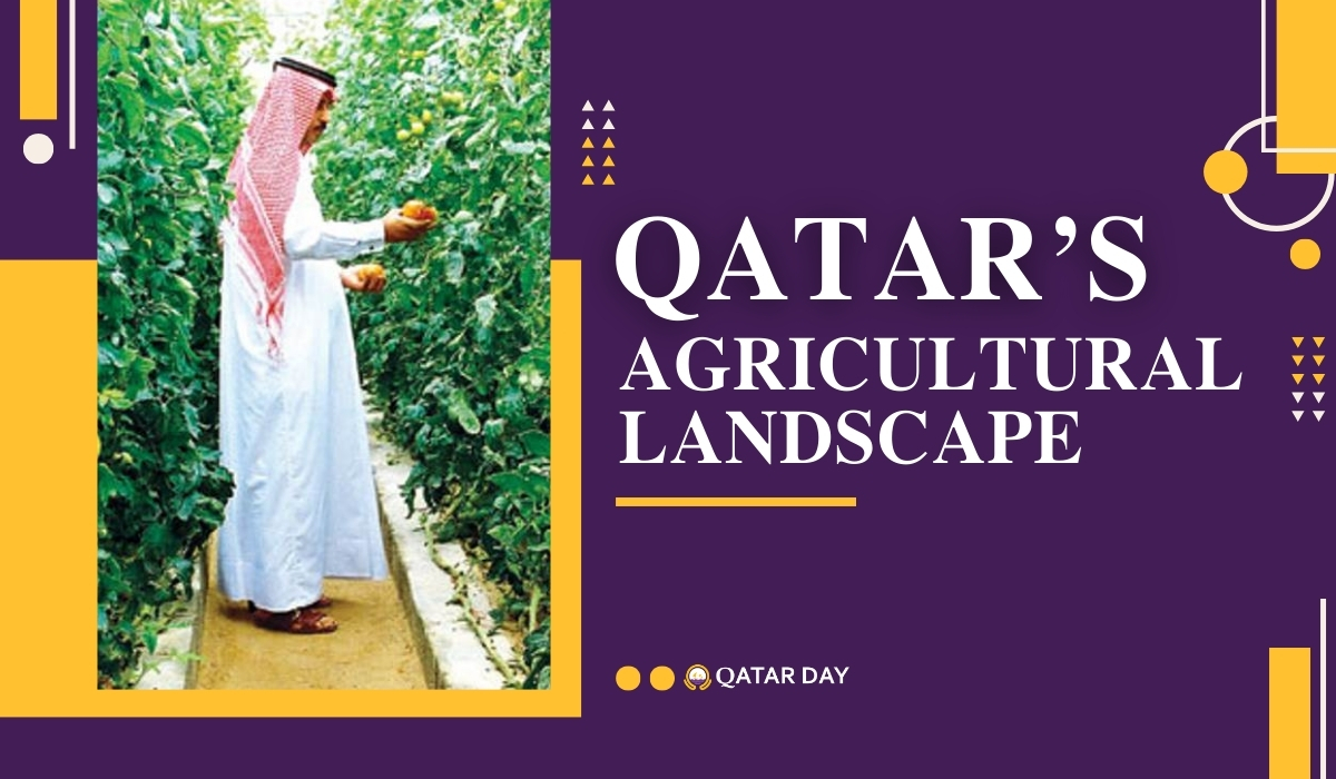 Qatar's Climate and Agricultural Landscape